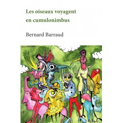 Les oiseaux voyagent en cumulonimbus